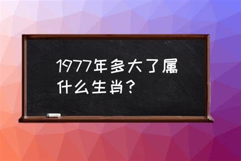 1977年農曆生肖|1977年属什么属相 1977年出生属什么生肖